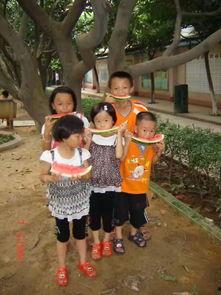 朝阳观众吃瓜网,揭秘娱乐圈幕后故事，带你领略明星真实生活