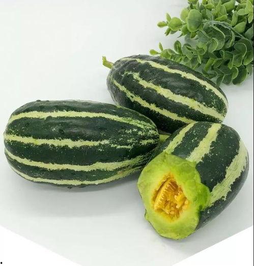 51网曝吃瓜黑料大瓜今日入口,今日吃瓜黑料大瓜盘点，精彩内容入口即食