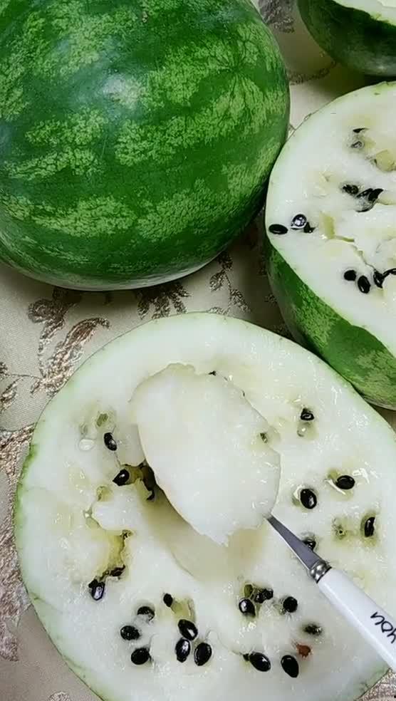 东北哪个网红吃酸瓜