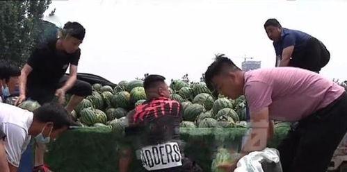 成县吃瓜网红事件真相视频,真相视频曝光背后的真相