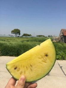 吃瓜网红照片头像,揭秘吃瓜网红的时尚头像魅力