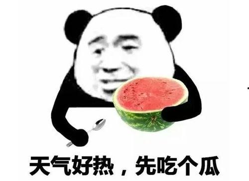 网红学霸吃瓜表情包下载,趣味横生的学习新风尚